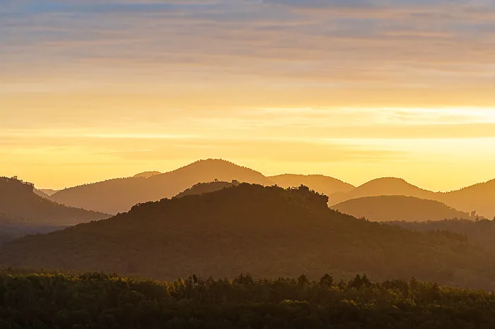 Palatinate Morning