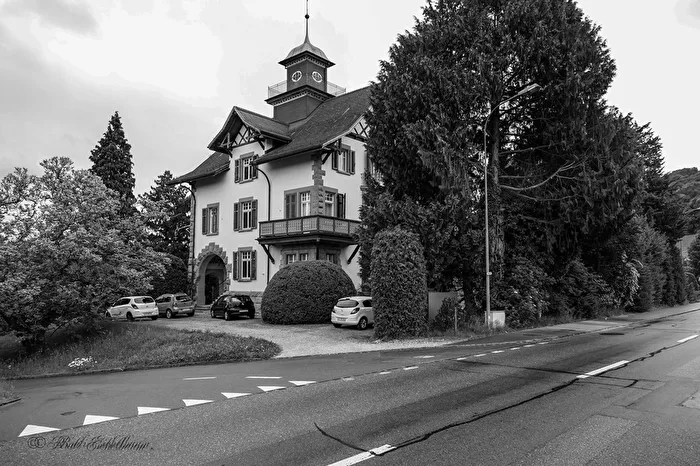 The house with the observation tower