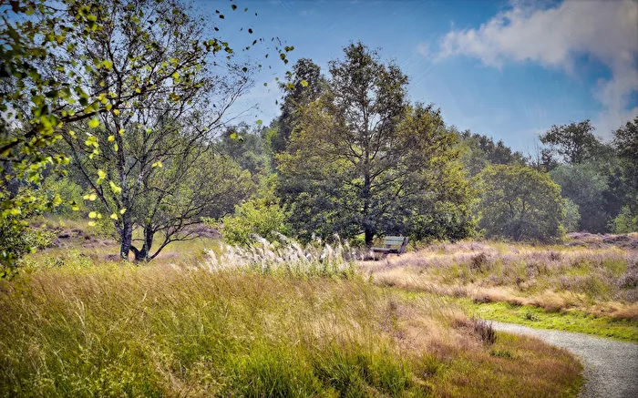 National Park The Maasduinen 4