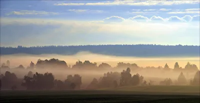 Morgennebel