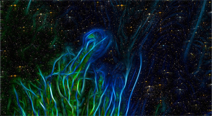 den sternen mit sehnsüchten und dem herzen folgen ...