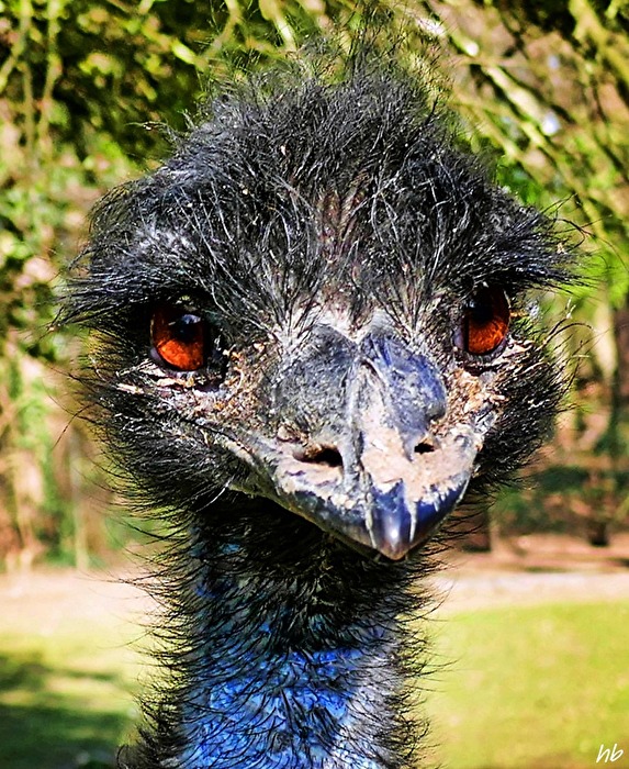 ich bin kein Dreckspatz !