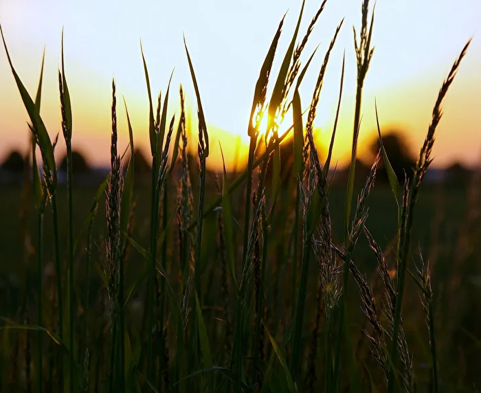 Ein Sonnenaufgang im Sommer und hoffentlich 2021 ohne Corona.