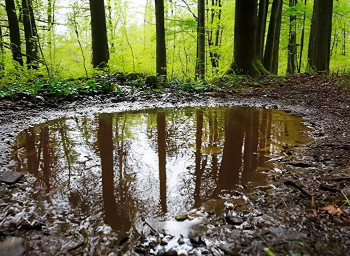 Pfütze