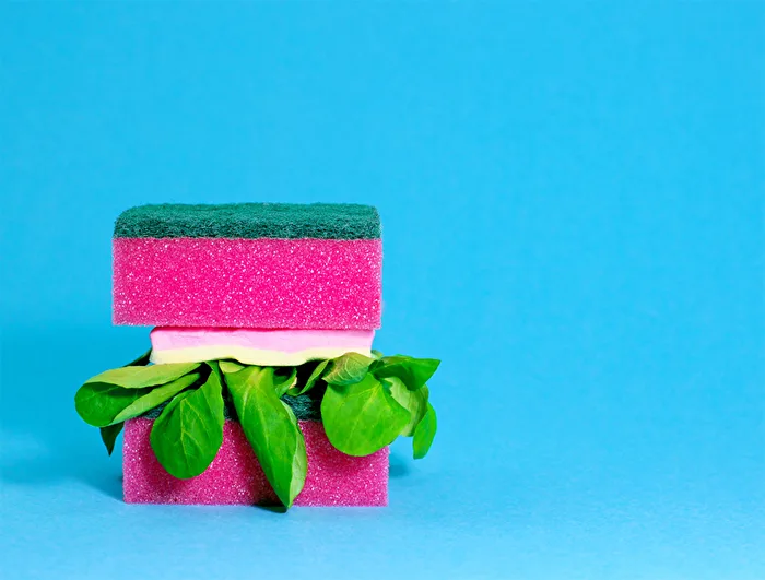 Dish Sponge