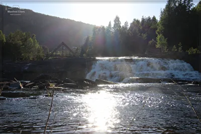 Am Fluss