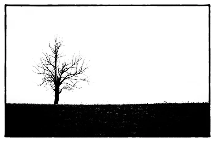 Loner 2