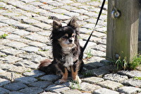 Wann kommen sie endlich...