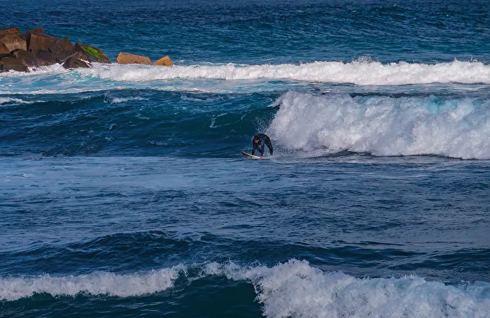 Surfer