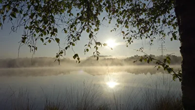 Morgendunst über dem Moorsee