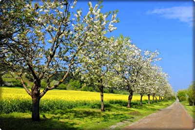 Frühling auf dem Lande