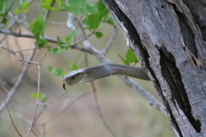 Unschöne Überraschung