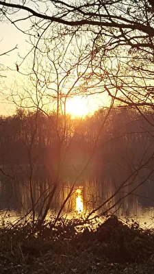 Sonnenuntergand am De Wittsee