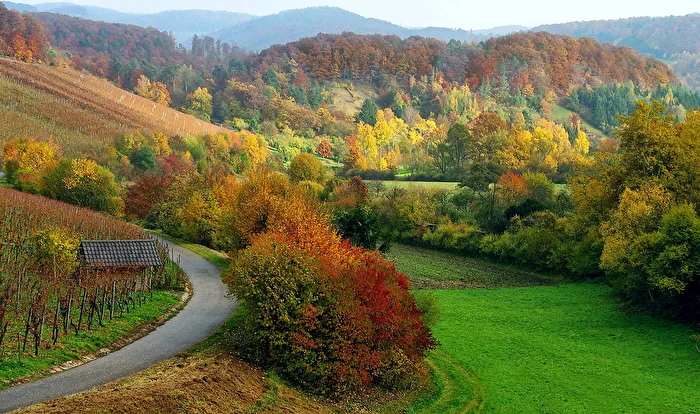 Herbstfarben