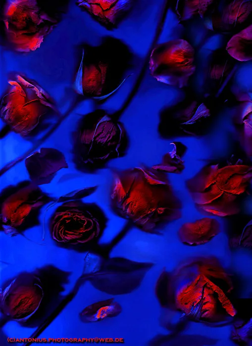 For You only...