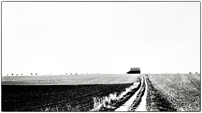 Country Lane