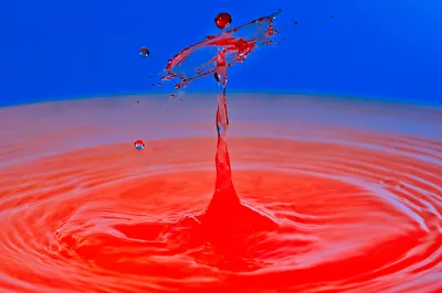 ohne Titel
