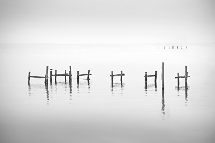 HighKey Novemberstimmung am Steinhuder Meer