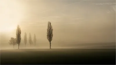 Morgenstimmung