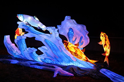 #Märchenhaft# fliegende Fische