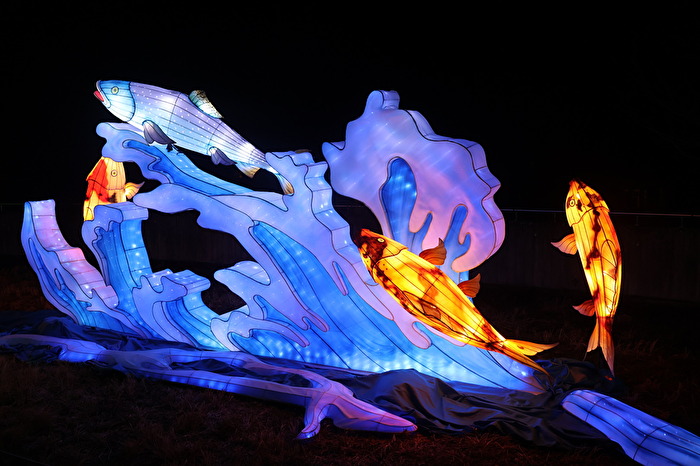 #Märchenhaft# fliegende Fische