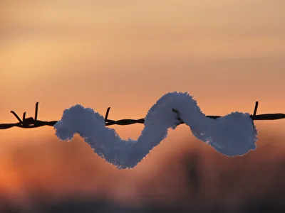 Schneeschlange