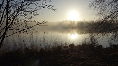 Sonnenaufgang am Ottermeer in Wiesmoor