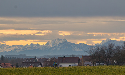 Blick in die Alpen