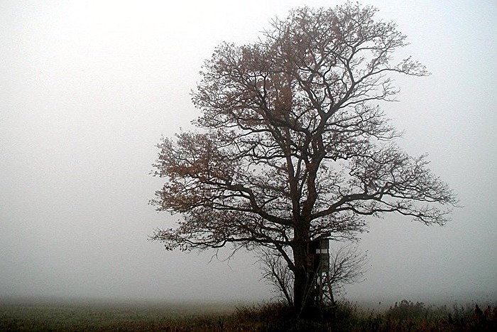 an old friend of mine