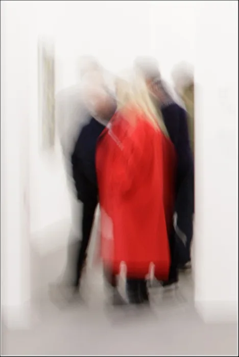 Visitors at an exhibition