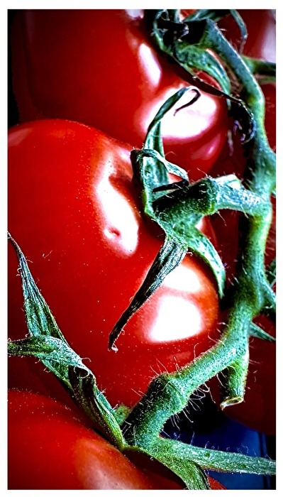 Fest im Griff und rotem Kopf