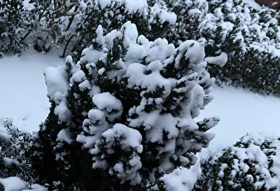Winter 2026