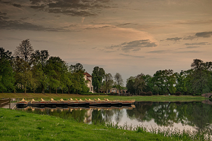 Gondelflotte im Wörlitzer Park