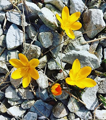 ohne Titel