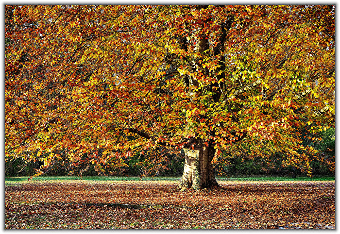 Herbstfarben