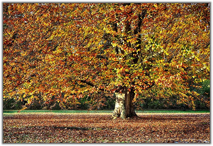 Herbstfarben