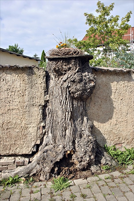 der Lückenfüller