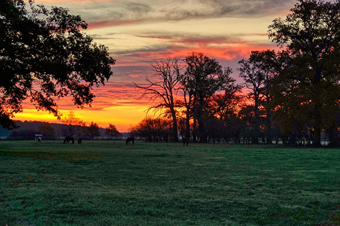 Sunrise in Havelland VII