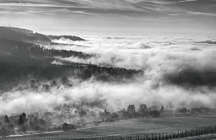 Herbstnebel