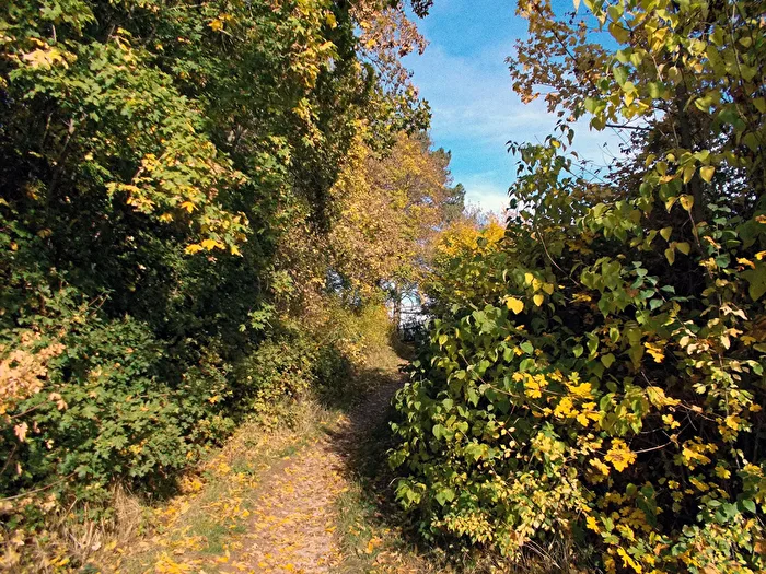 Herbst