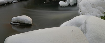 ohne Titel