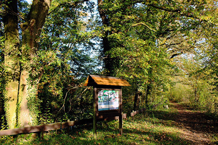 Herbstlicher Wanderweg