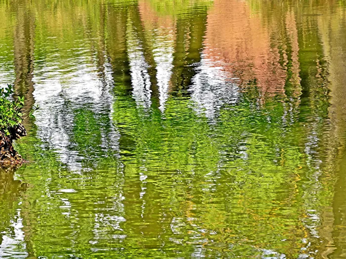 The colors of spring