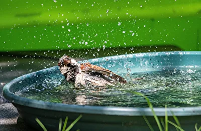 Was gukst  du ...bin am baden