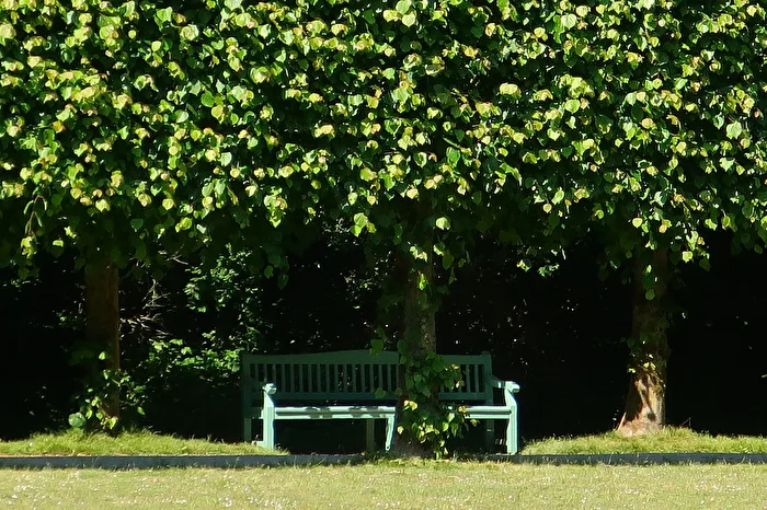 Park Bench