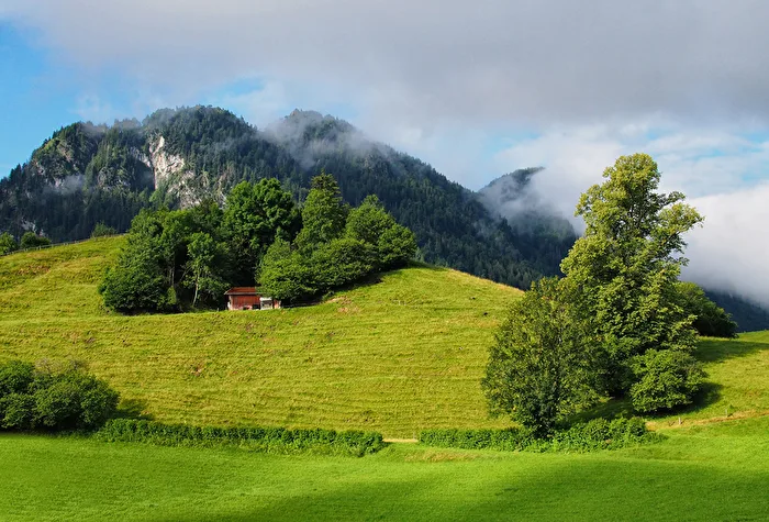 Auf der Alm