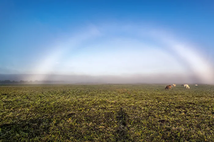 Fog Bow