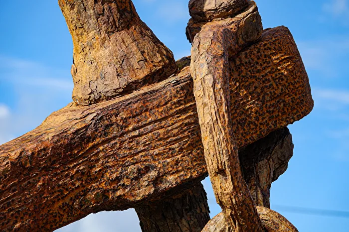 Rost