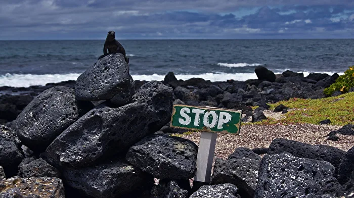 stop
