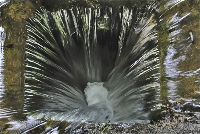 Wasser